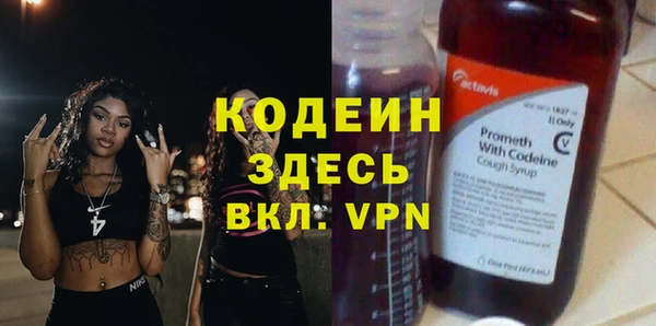 хмурый Алексин