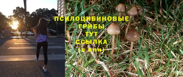 марки nbome Алексеевка
